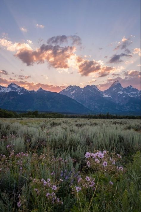 Gallery | variegated-skies | VSCO | aesthetic summer sunsets mountain range travel hike nature wallpaper lockscreen Nature Story, Landscape Photography Tips, Mountain Photos, Landscape Photography Nature, Alam Yang Indah, Beautiful Sky, Nature Aesthetic, Nature Wallpaper, Rocky Mountains