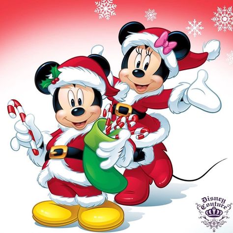 Christmas - Disney - Mickey & Minnie Mouse Wallpaper Mickey Mouse, Natal Do Mickey Mouse, Disney Merry Christmas, Minnie Y Mickey Mouse, Mouse Pictures, Christmas Mickey, Minnie Mouse Christmas, Charmmy Kitty, Minnie Christmas