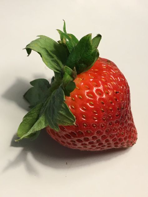 Food Art Reference Photos, Strawberry Still Life Photography, Random Object Reference Photos, Item Reference Photo, Minimalist Still Life Photography, Strawberry Reference Photo, Fruit Reference Photos For Artists, Art Reference Still Life, Simple Reference Photos Objects