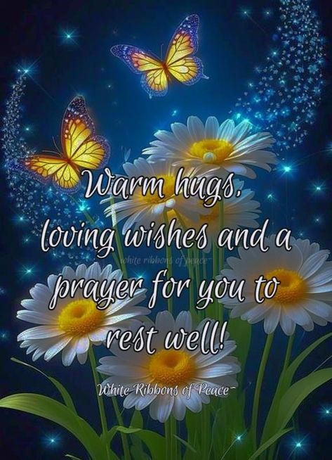 Jw Good Night, Nighty Night Quotes, Nighty Nighty, Jw Quotes, Good Night Love Messages, Night Blessings, Night Greetings, Prayer For Peace, Love Wishes