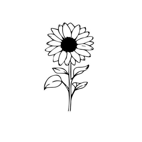 Engagement Tattoos, Sunflower Doodle, Sketch Rose, Sunflower Tattoo Simple, Sunflower Sketches, Modern Floral Art, Rose Line Art, Hope Tattoo, Sunflower Illustration