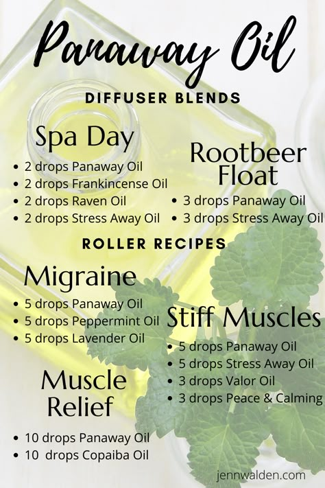 Find out why Panaway made my list of TOP 30 essential oils.  Discover common uses, diffuser blends and roller recipes.  #essentialoils #top30essentialoils #panaway #diffuserblends #yleo Panaway Diffuser Blends, Young Living Essential Oils Recipes Diffuser, Panaway Essential Oil Young Living, Young Living Panaway, Essential Oil Roller Blends, Panaway Essential Oil, Young Living Essential Oil Diffuser, Essential Oil Blends Roller, Diffuser Blends Young Living