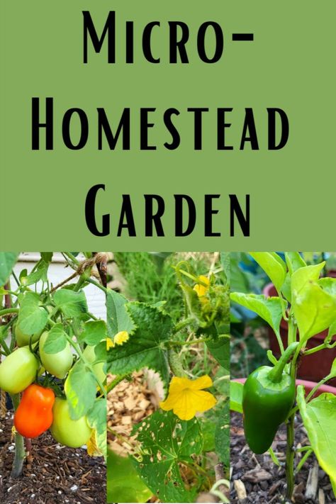 Homestead Gardening, Homesteading For Beginners, Homestead Gardens, Urban Homesteading, Urban Farming, Grow Your Own Food, Backyard Oasis, Garden Projects, Oasis