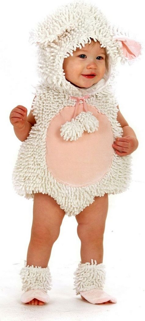 Charlotte can be Tina the llama. Easter Costumes For Kids, Funny Baby Halloween Costumes, Baby Lamb Costume, Funny Baby Costumes, Sheep Costume, Sheep Costumes, Lamb Costume, Newborn Costume, Easter Costume