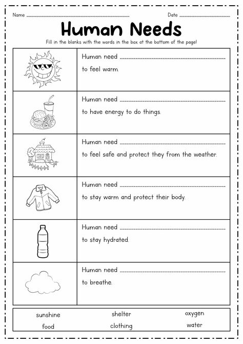 Basic Needs Of Humans Kindergarten, Needs Vs Wants Worksheet, Needs Vs Wants Activity, Basic Human Needs, Wants Vs Needs, Needs And Wants Worksheet, Wanted Template, Needs Vs Wants, Basic Needs