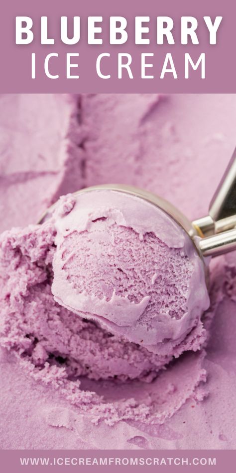 Blueberry Sorbet Recipe, Blueberry Ninja Creami, Homemade Blueberry Ice Cream, Blueberry Sherbet, Ninja Creami Ice Cream Recipes Blueberry, Healthy Blueberry Ice Cream, Blueberry Homemade Ice Cream, Blueberry Lemon Ice Cream, Blueberry Ice Cream Recipe Machine