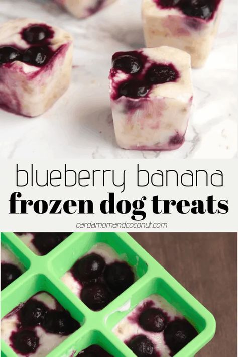 Take five minutes to make these super easy, three-ingredient banana blueberry frozen dog treats. The perfect reward for your pup! #CardamomAndCoconut #DogTreat Greek Yogurt For Dogs, Blueberries And Yogurt, Blueberry Dog Treat Recipe, Yogurt For Dogs, Summer Dog Treats, Healthy Dog Snacks, Frozen Dog Treats Homemade, Bacon Dog Treats, Banana Frozen