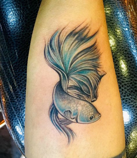 Art by Arden at Verve tattoo studio Fighter Fish Tattoo, Fighter Fish, Fish Tattoo, Betta Fish, Tattoo Studio, Fish Tattoos, Watercolor Tattoo, Fish, Tattoos