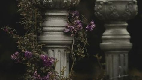 House of Lis Romantic Goth Aesthetic, Belladonna Flower, Dark Royal Aesthetic, Castle Dark, Dark Royalty Aesthetic, Kingdom Castle, Dark Filter, Icon Theme, Dark Evil