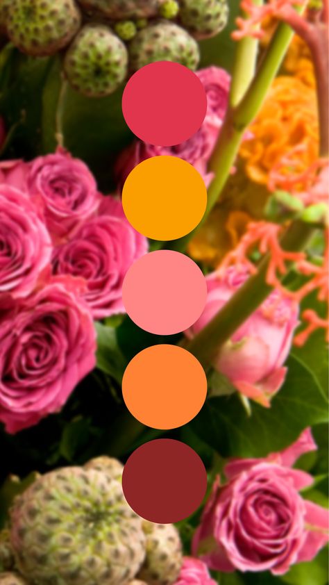 Neon Wedding Colors, Elegant Wedding Colors, Wedding Color Palette Summer, Orange Wedding Colors, Pantone Colour Palettes, Modern Mexican, Pink Color Schemes, Rose Orange, Neon Wedding