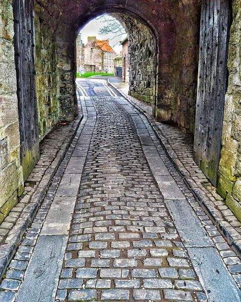 Darren Chapman on Instagram: “#cowgate #berwickupontweed #cobblestone #arches #history #berwickwalls #architecture #history #worthavisit #stayandwander #followmyjourney…” Berwick Upon Tweed, Beautiful Borders, Scottish Borders, Most Beautiful Places On Earth, Architecture History, Adventure Bucket List, Beautiful Places On Earth, Places On Earth, Most Beautiful Places