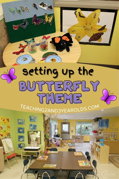 This week our toddler and preschool classroom is set up for the butterfly theme. While we learn about the butterfly life cycle, we will have lots of hands-on learning activities offered throughout our classroom. #butterflies #caterpillars #bugs #spring #theme #classroom #teachers #earlychildhood #toddler #preschool #AGE2 #AGE3 #teaching2and3yearolds Bug Activities Preschool, Preschool Bug Activities, Spring Themed Classroom, Preschool Butterfly Theme, Butterfly Classroom Theme, Butterfly Classroom, Preschool Butterfly, Caterpillar And Butterfly, Butterfly Activities