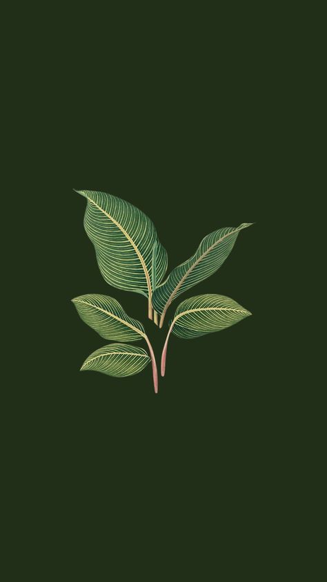 Botany Wallpaper, Plants Wallpaper, Parrot Green, Phone Layout, Plant Wallpaper, Heart Pictures, Green Wallpaper, Wallpaper Ideas, Christmas Wallpaper