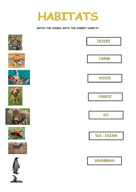 Animal Habitat Worksheet, Habitats Activities, Habitat Worksheet, Sight Word Booklets, Worksheets For First Grade, Animals And Their Habitats, Habitat Activities, Worksheets For Class 1, Animal Habitat