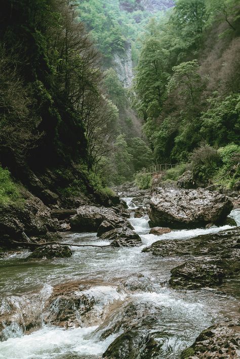 River and forest. Ekaterina Melenteva River Forest, Scenery Photos, River Painting, Green Things, Mountain Stream, Scenic Photography, Forest River, Nature Aesthetic, Pretty Places