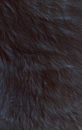 Black Fur Aesthetic, Fur Shading, Fur Reference, Fur Aesthetic, Wallpaper Fur, Iphone Wallpapers, Photo Backgrounds, Aesthetic Wallpapers, Iphone Wallpaper