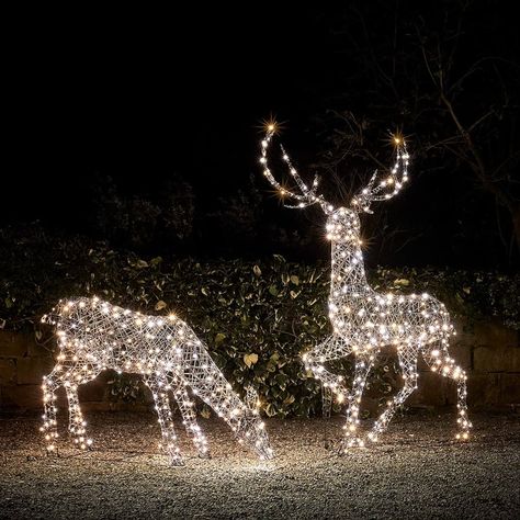 Deer Lights Christmas, Classy Outdoor Christmas Decor, Christmas Decorations For Outside, Outdoor Reindeer, Christmas Led Lights, Stag And Doe, Reindeer Lights, House Lights, Christmas Decs