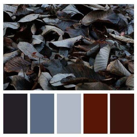 Blue and burgundy color palette  | #colorschemes #fall #thanksgiving #fallcolorpalette Color Palette For Room, Family Picture Color Scheme, Maroon Color Palette, Burgundy Color Palette, Burgundy Bedroom, Midnight Society, Burgundy Color Scheme, Halloween Color Palette, Burgundy Colour Palette