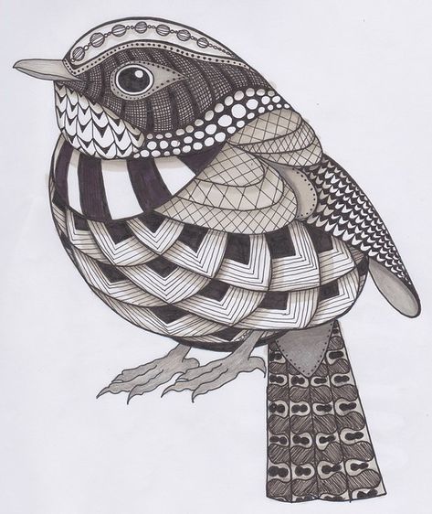 Zentangle Art Easy, Animal Zentangle, Bird Collage, Zentangle Animals, Bird Template, Zentangle Artwork, Doodle Art Drawing, Mandala Art Lesson, Tangle Art