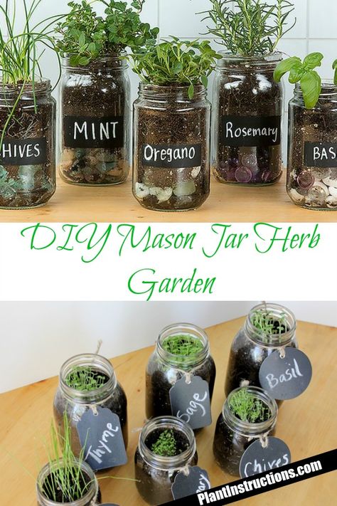 Jar Herb Garden, Mason Jar Herbs, Mason Jar Herb Garden, Herb Jar, Diy Herb Garden, Diy Mason Jar, Mason Jar Crafts Diy, Indoor Herb Garden, Herbs Indoors