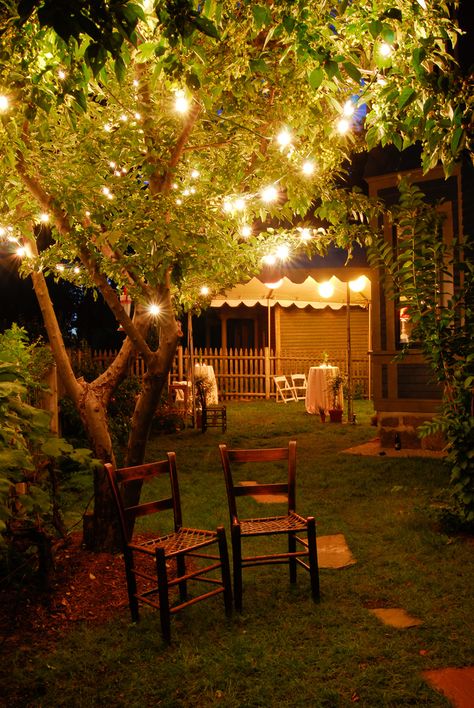 The guests and couple are enjoying their meal in the house but the yard remains beautifully lit. Romantic Backyard, Deco Champetre, Magic Garden, Backyard Lighting, Wedding Boston, Backyard Party, Tree Lighting, Backyard Oasis, Diy Backyard