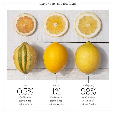 Pink lemons - infographic - meyer and eureka - variety Eureka Lemon Tree, Pink Lemon Tree, Eureka Lemon, Unique Vegetables, Lemon Lemonade, Backyard Plants, Garden Hacks, Pink Lemon, Blue Apron