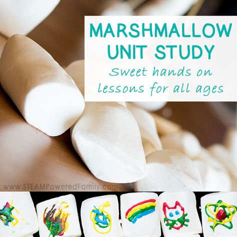 Marshmallows are a fantastic unit study with lessons in science, engineering, math and so much more. Dive into some extra tasty kitchen science by making your own homemade marshmallows (so much better than store bought), and even some sensory play. Marshmallow Activities, Candy Science, Science Unit Studies, Kids Food Crafts, Kitchen Science, Science Engineering, Homemade Marshmallows, Tasty Kitchen, Stem For Kids