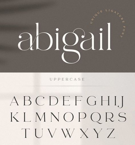 Abigail Logo Font Free Font Jewelry Font Design, Free Fonts For Logo Design, Free Logo Fonts, Canva Logo Fonts, Best Font For Logo, Aesthetic Free Fonts, Free Aesthetic Fonts, Fancy Logo Design, Modern Free Fonts