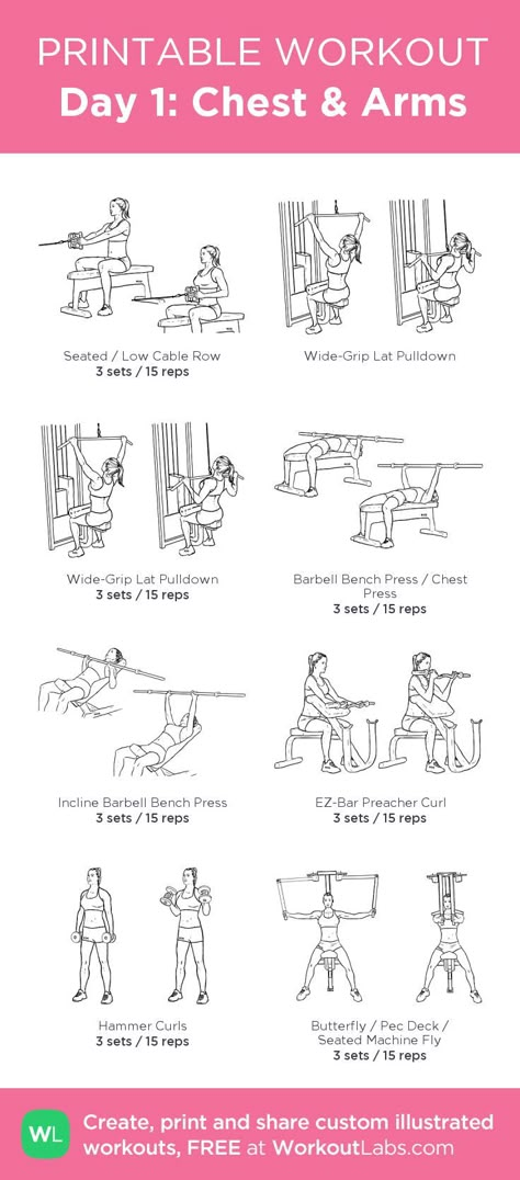 Day 1: Chest & Arms: my visual workout created at WorkoutLabs.com • Click through to customize and download as a FREE PDF! #customworkout Chest Day Women Gym, Plan Gym Workout, Chest And Arm Workout, Back Of Arm Exercises, Chest Day Workout, Arm Workout Gym, Arm Day Workout, Gym Workout Plan, Effective Workout Plan