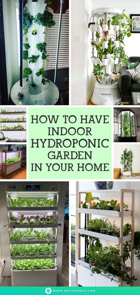 Hydroponic gardening is a no-fail way to grow year-round vegetables, herbs, and fruit. This is a farming technique that uses water, air, and nutrients to grow plants in an unnatural environtment. This soil-free method is easier to maintain than conventional gardening, and plants are less likely to get pests or disease. #indoorgarden #indoorhydroponicgarden #hydroponicgarden Best Plants For Hydroponics, Diy Indoor Hydroponic Garden, Hydroponic Gardening For Beginners, Hydroponic Herb Garden, Indoor Hydroponic Gardening, Diy Hydroponics, Hydroponic Solution, Indoor Hydroponics, Hydroponic Garden