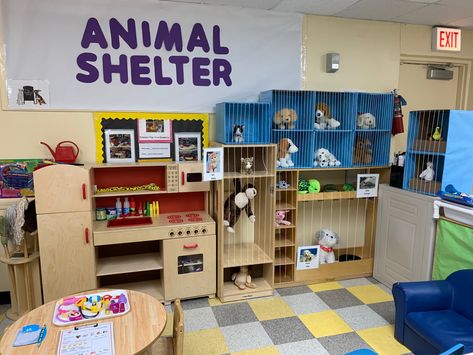 Veterinary Dramatic Play Center, Dramatic Play Animal Shelter, Animal Shelter Dramatic Play, Pet Dramatic Play, Dramatic Play Preschool Ideas, Dramatic Play Area Ideas, Pet Activities For Preschool, Doll Playroom, Vet Dramatic Play