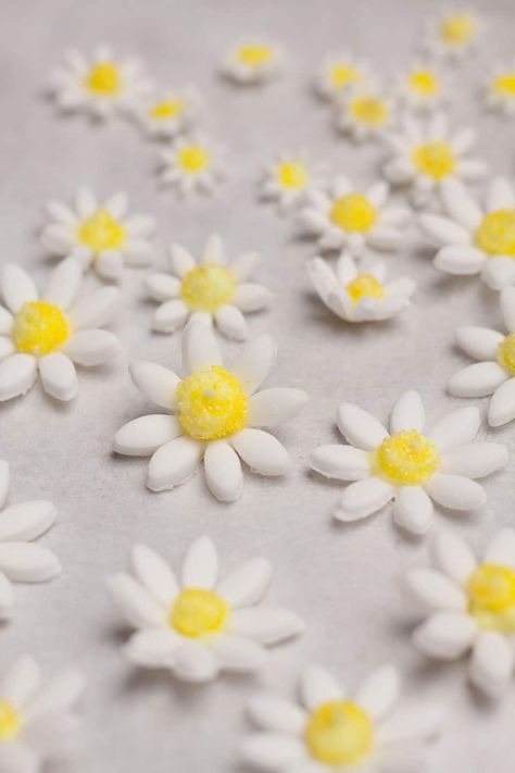 sugar paste daisies on a baking sheet Chocolate Daisy Flower, How To Make Fondant Daisies, Daisy Fondant Flowers, How To Make Daisies On A Cake, How To Make Daisies Out Of Frosting, Daisy Icing Flowers, Easy Daisy Cake, How To Make Daisy Flowers For Cakes, Daisy Food Ideas