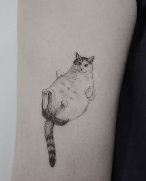 Minimal Cat Tattoo, Stickandpoke Tattoo, Tattoo Back Tattoo, Cute Animal Tattoos, Cat Tattoo Simple, Tattoo Back, Small Tattoo Ideas, Cat Tattoos, Tattoo Simple