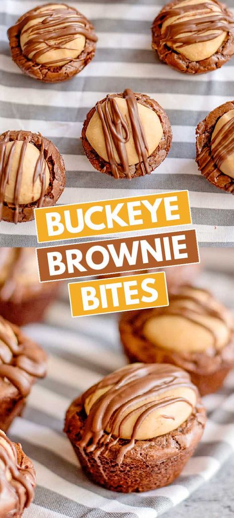 Buckeye Brownie Bites - These Buckeye Brownie Bites combine buckeyes and brownies together in a cute little package so you have one incredible chocolate peanut butter dessert. It's a rich fudgy brownie bottom that is topped with a soft peanut butter ball and a chocolate drizzle. They're so easy to make too thanks to a brownie mix shortcut. #cookiedoughandovenmitt #buckeyes #brownies #desserts Chocolate Peanut Butter Dessert, Peanut Butter Brownie Bites, Peanut Butter Ball, Mini Brownie Bites, Peanut Butter Dessert, Hot Chocolate Brownies, Buckeye Brownies, Brownie Bites Recipe, Peanut Butter Brownie