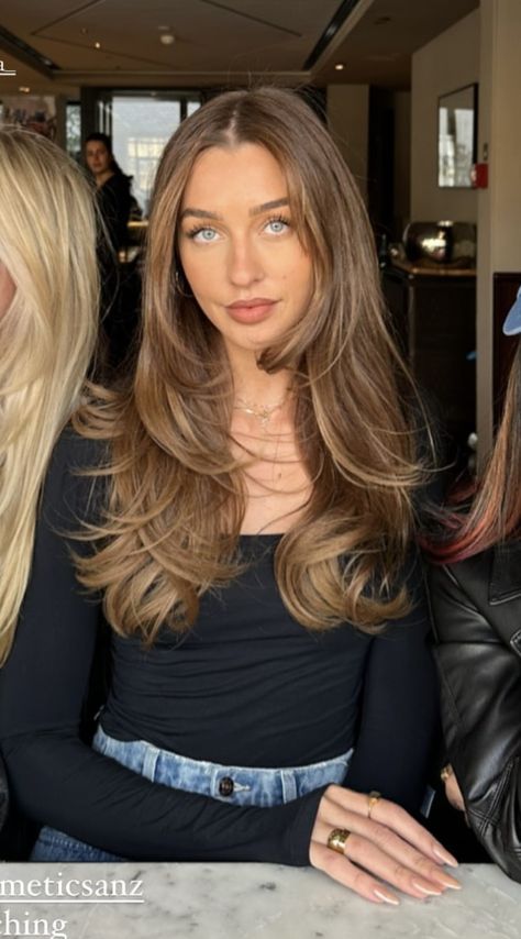 Brown 90s Blowout Hair, Now In Hair, Long Layers No Curtain Bangs, Hair Inspo Oval Face, Long Layered Bronde Hair, Honey Blonde Hair Babylights, Cool Honey Brown Hair, Batsheva Haart Hair, Honey Brown Layered Hair