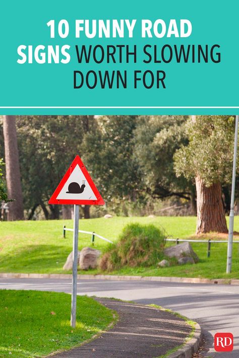 These odd signs will definitely make you laugh and spice up your everyday commute. Take a look, but don't take your eyes off the road! #funny #humor #roadsigns Funny Speed Limit Signs, Funny Traffic Signs, Slow Down Signs Roads, Slow Down Signs Funny, Funny Road Signs Hilarious, Funny Symbols, Traffic Humor, Funny Signs Humor, Slow Down Sign