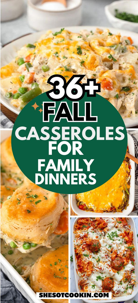 Photo collage with cozy fall dinnner casseroles with text overlay. Cheap Dinners Casseroles, Dinner Bake Ideas, Best Casseroles Dinners, Quick Comfort Food Recipes, Dinner For Fall Weather, Cold Fall Dinner Ideas, Easy Casserole Recipes For Thanksgiving, Easy Dinner Recipes For Family Casserole, Fall Easy Recipes Dinners