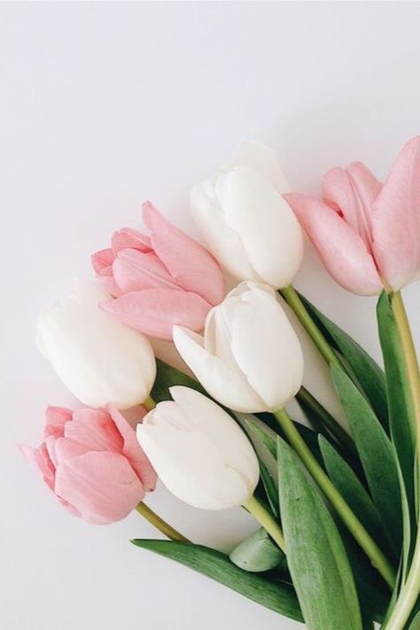 Floral Wallpaper Iphone, Coffee Flower, Boquette Flowers, Pink Plant, Prom Flowers, Tulip Bouquet, Social Media Presence, Nothing But Flowers, Flowers Bouquet Gift