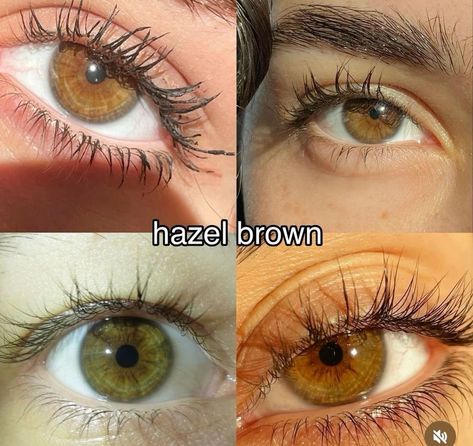 Great+grandpa color hair brown  Hazel eyes, And Honey Brown eyes Color Hair Brown, Honey Brown Eyes, Hazel Eyes Hair Color, Brown Hazel Eyes, Brown Eye Quotes, Olive Green Eyes, Pretty Eyes Color, Hazel Brown Eyes, Rare Eye Colors