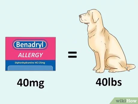 Benadryl For Dogs Dosage, Dog Benadryl, Pet Medicine, Dog Remedies, Medication For Dogs, Animal Medicine, Home Health Remedies, Allergy Symptoms, Dog Allergies