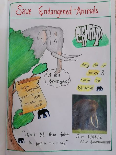 Poster On Endangered Animals, Endangered Animals Craft, Save Endangered Animals Poster, Endangered Animals Poster Project, Poster On Wildlife Conservation, Save The Animals Poster, Save Wildlife Poster Painting, Save Wildlife Poster Ideas, Wildlife Conservation Poster