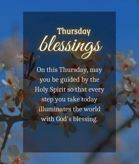 Good Morning Thankful Thursday, Thankful Thursday Quotes Inspiration, Thankful Thursday Quotes, Positive Good Night Quotes, Divine Inspiration And Prayers, Thoughtful Thursday, Thursday Greetings, Thursday Blessings, Morning Thursday