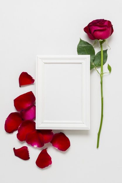 Red rose concept with white frame Free P... | Free Photo #Freepik #freephoto #flower Photo Frame Wallpaper, Frame Floral, Free Photo Frames, Photo Frame Design, Photo Art Frame, Love Frames, Free Frames, Floral Border Design, Rose Frame