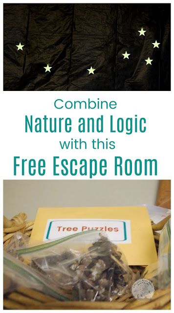 Help kids learn to problem solve with logic through this Nature Themed Escape Room! Perfect for homeschool co-op groups! #escaperoom #nature #criticalthinking #homeschool Scout Escape Room, Outdoor Escape Room Ideas, Room In Nature, Escape Room Themes, Homeschool Coop, Escape Room Diy, Escape Room For Kids, Escape Room Puzzles, Kids Goals