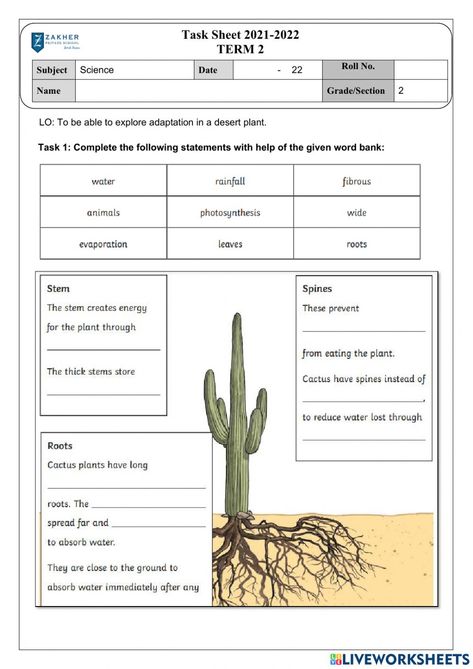 Adaptation In Plants, Plant Adaptations Activities, Class 4 Worksheets, Flowers Worksheet, Adaptations Activities, Energy Quiz, Kids School Papers, 4th Grade Activities, Plant Adaptations