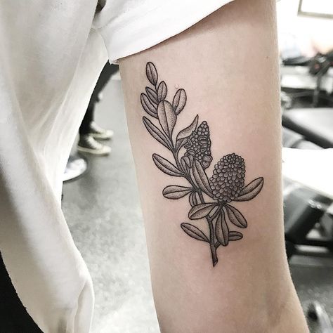 Banksia Tattoo, Australian Native, Tattoo Inspo, The Trip, I Tattoo, Thank You So Much, Flower Tattoo, Tatting, Ruby