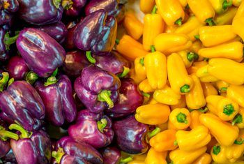 Purple Bell Pepper Recipe, Purple Bell Pepper, Purple Pepper, Bell Pepper Recipes, Capsicum Annuum, Pepper Plants, Garden Veggies, New Fruit, Peppers Recipes