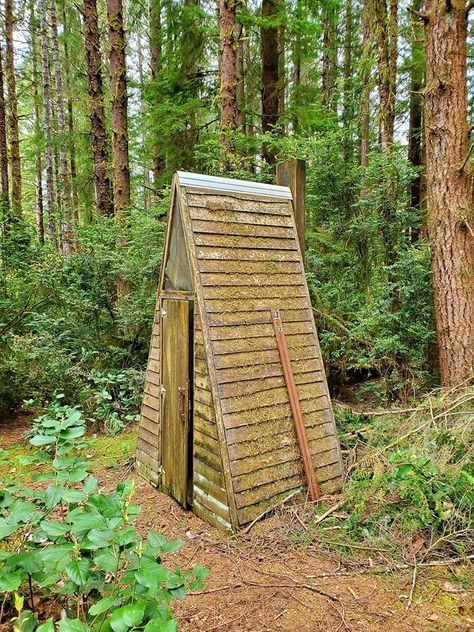 Old Forest A-Frame Outhouse Diy Outhouse, Airbnb Cabins, Outhouse Design, Mini Cabin, Yurt Home, Old Forest, Outdoor Shower Diy, Diy Cabin, Outdoor Toilet