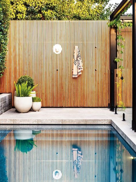 Pool Fencing Landscaping, Modern Outdoor Living Space, Concrete Swimming Pool, Melbourne Girl, Courtyard Pool, Modern Outdoor Living, Outdoor Pool Area, Pool Renovation, Pool Landscape Design