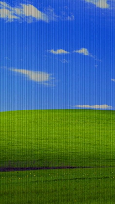 Dreams Core Aesthetic, Scenic Wallpaper, Cocoppa Wallpaper, Dreamcore Weirdcore, Trending Pins, Weird Dreams, Graphic Wallpaper, Homescreen Wallpaper, Windows Xp